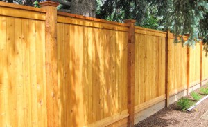 wood fencing, privacy 2x6 capped top with decorative cap on 6x6inch post, tongue and groove